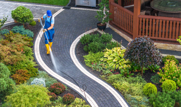 Best Deck Cleaning Services  in Twin Lakes, CO